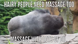 massage monkey meme