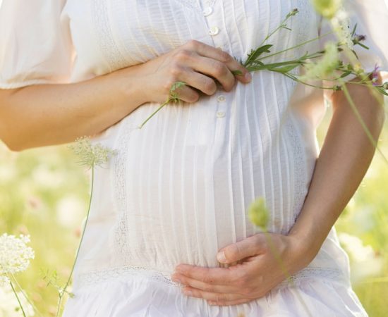 Pregnancy prenatal nutrition